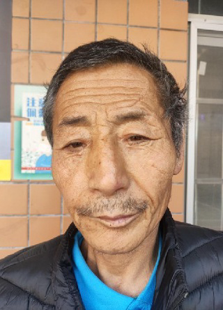 陶万树