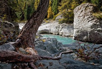 别让卫国老兵寒心，天河救助正在持续跟进帮扶